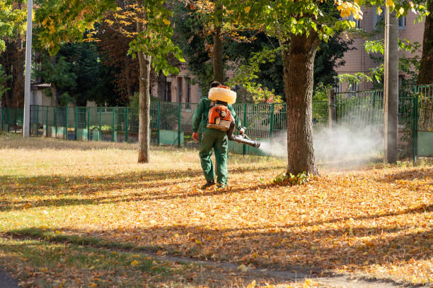 Best Pest Inspection Near Me  in Big Bear City, CA